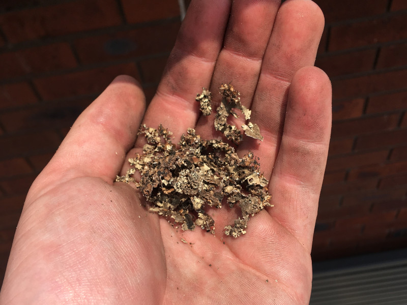 Crumbling moss removed from solar panels