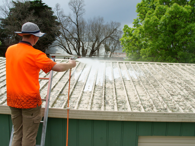 Dying moss and spores on a cement roof after treatment