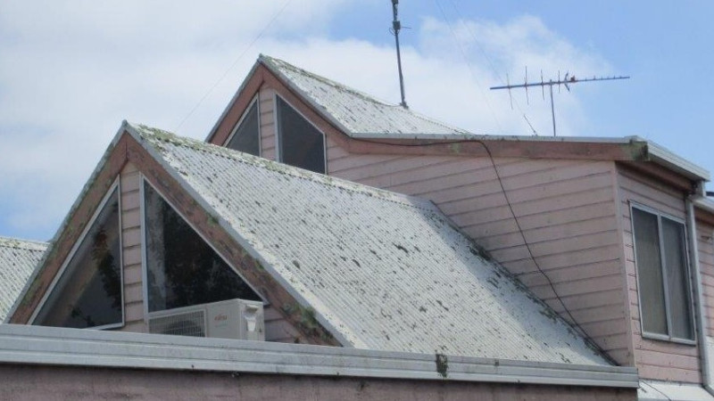 Red cement roof before moss treatment showing moss growth