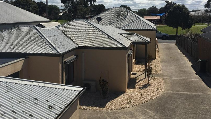 Cement roof before moss treatment showing moss growth