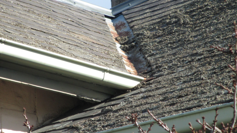 Red cement roof before moss treatment showing moss growth