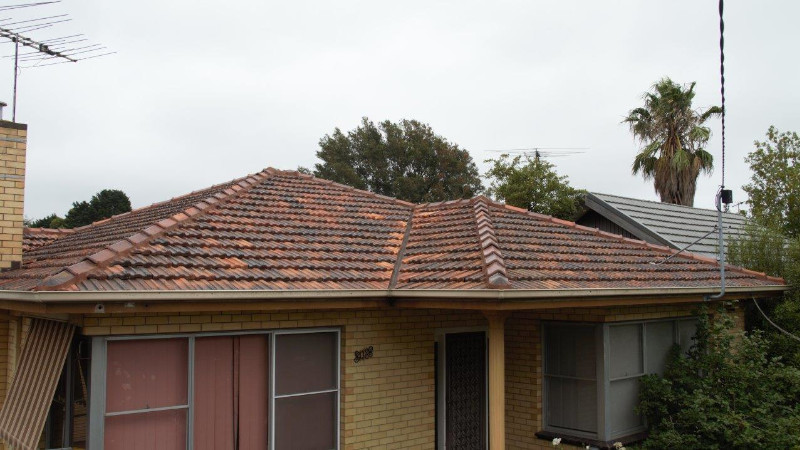 Red cement roof before moss treatment showing moss growth