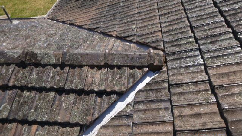 Cement roof before moss treatment showing moss growth